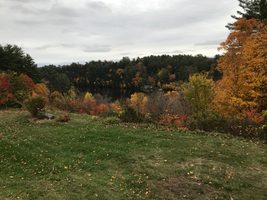 Fall View From Rozycki Yard